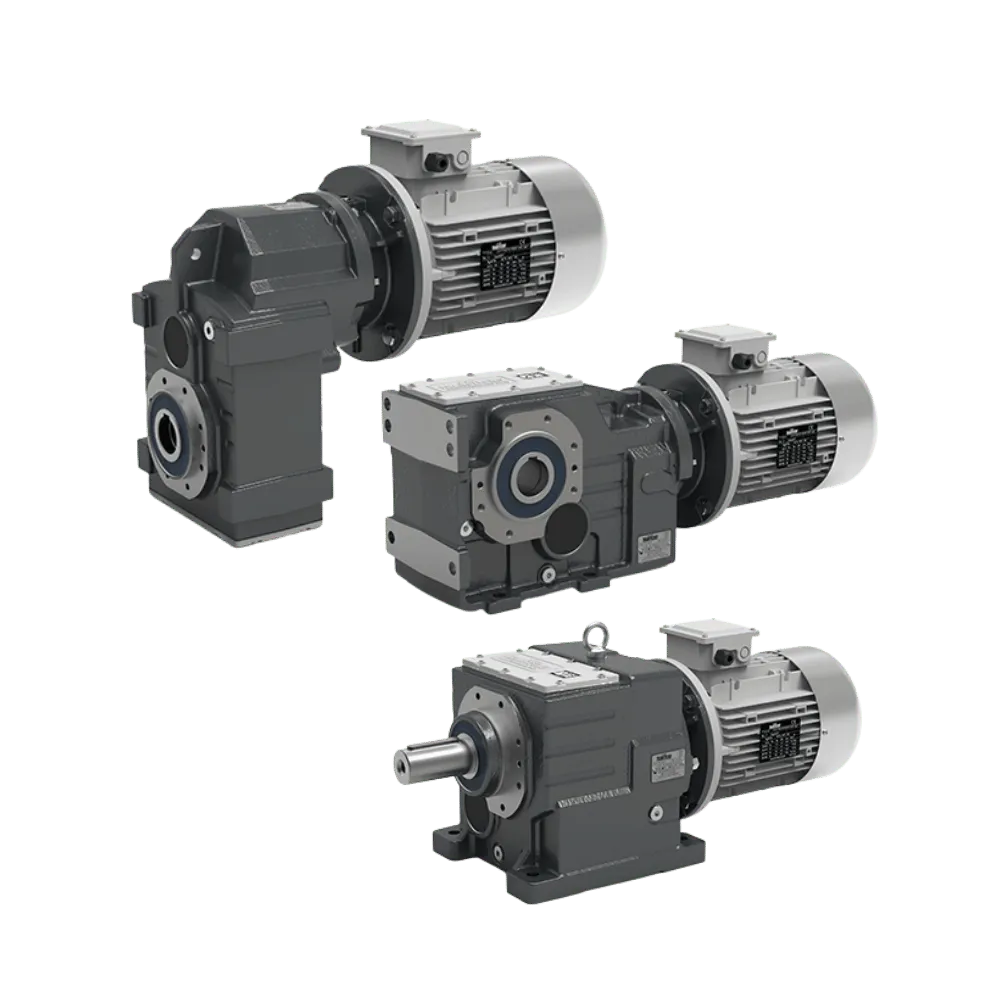 Cast Iron Gearmotors collection