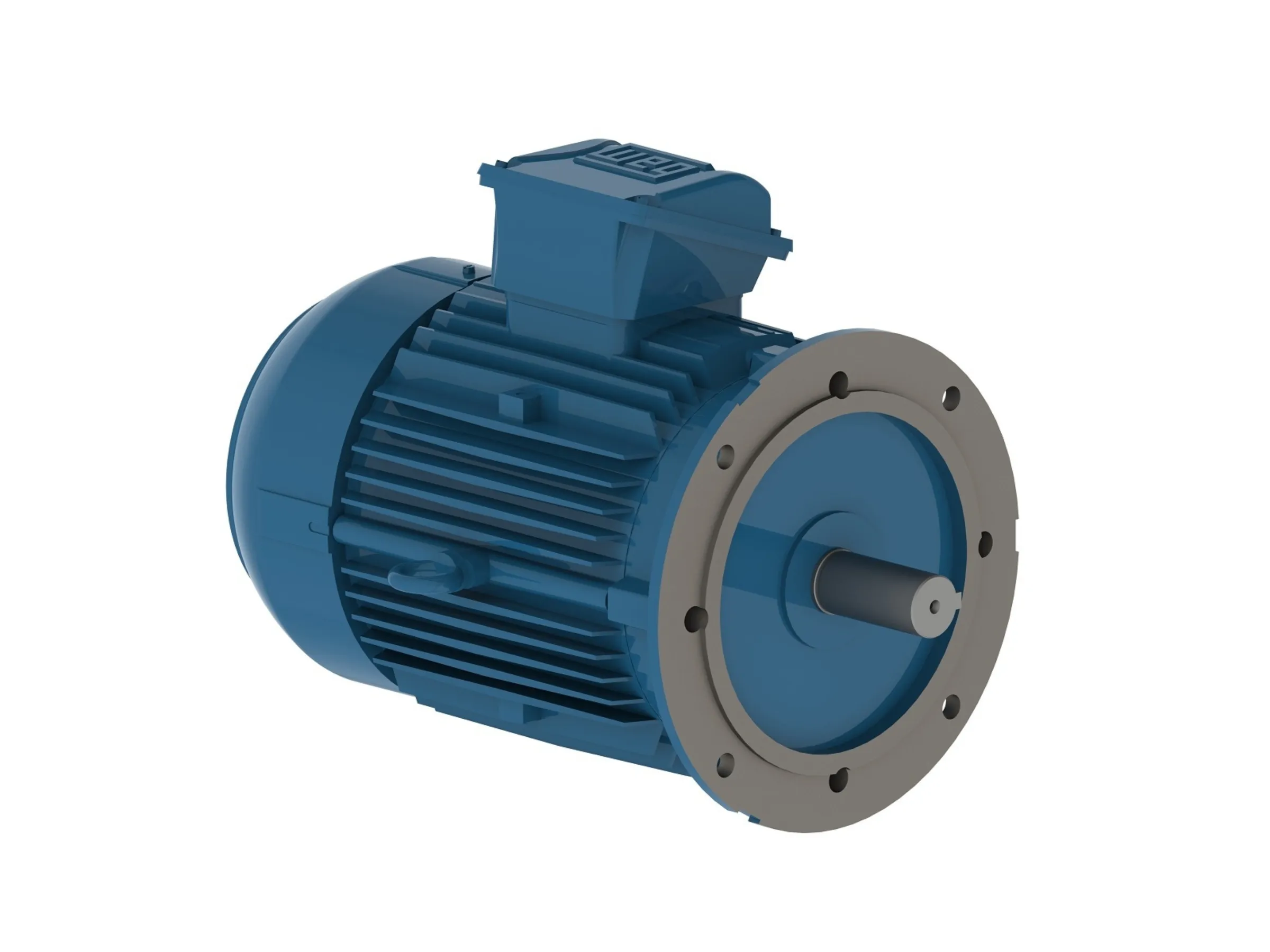 WEG W22 three phase electric motor in cast iron frame