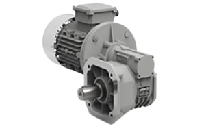 Poultry and Pig Techno Worm Gearmotor